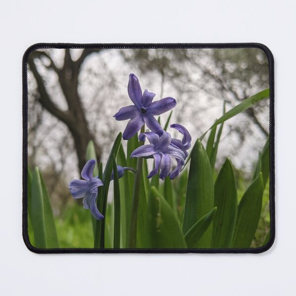 Item preview, Winterflowers designed and sold by aeolia.