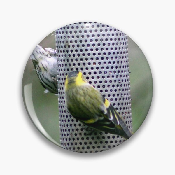 Item preview, siskin designed and sold by KathleenDawson.
