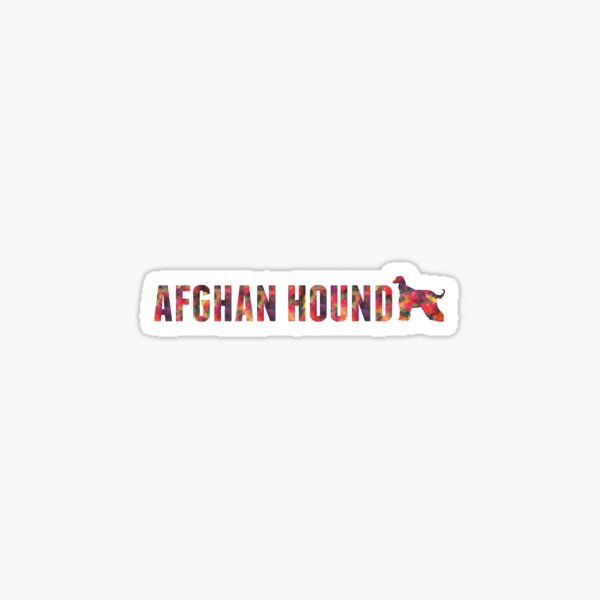 Afghan Hound Colorful Graphic Multi Sticker