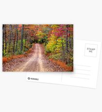 Autumn Country Road Postcards