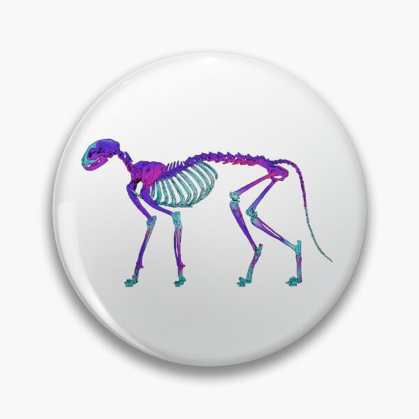Item preview, Cat Skeleton Diaphonized Specimen designed and sold by Ashley Gagnon.