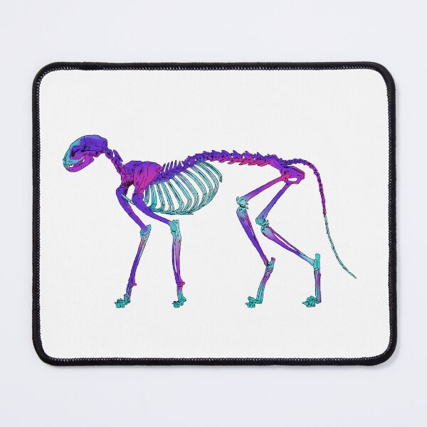 Item preview, Cat Skeleton Diaphonized Specimen designed and sold by Ashley Gagnon.