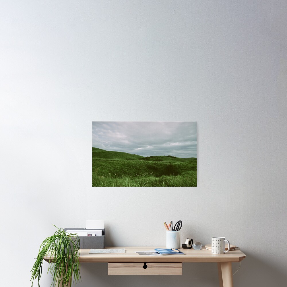 Item preview, Poster designed and sold by adamayokuy.