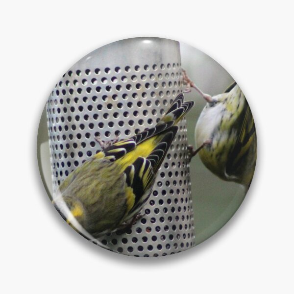 Item preview, siskin designed and sold by KathleenDawson.