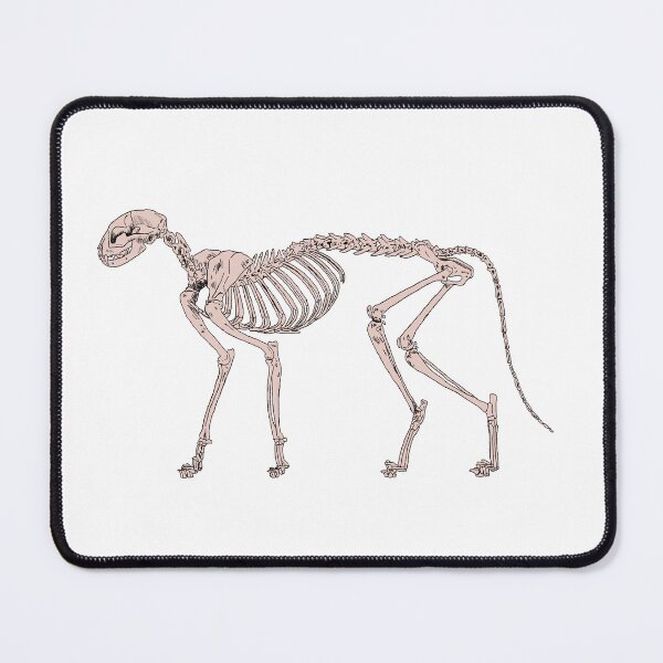 Item preview, Cat Skeleton Natural designed and sold by Ashley Gagnon.
