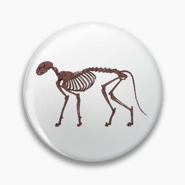 Item preview, Cat Skeleton Fossilized designed and sold by Ashley Gagnon.