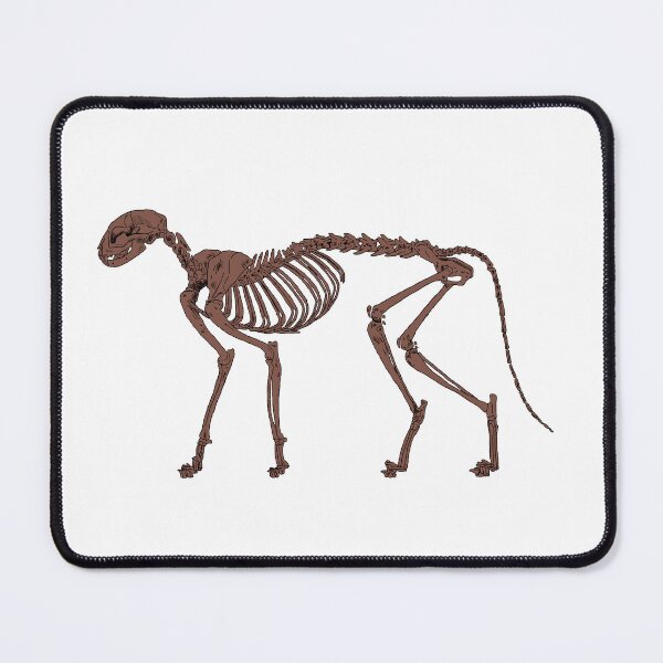 Item preview, Cat Skeleton Fossilized designed and sold by Ashley Gagnon.