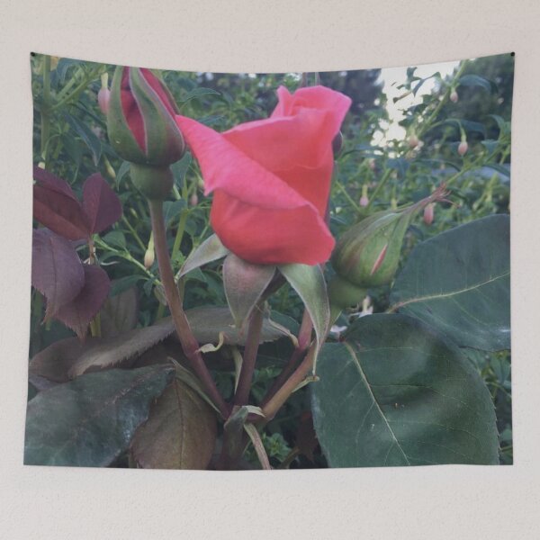 Item preview, Red roses designed and sold by Beautyqueens Beautys.