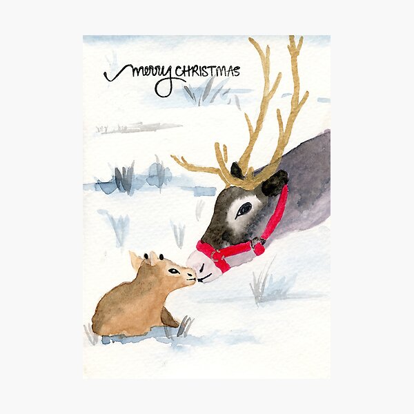 Baby and Mama Reindeer Photographic Print
