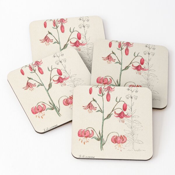 Item preview, vintage liliacae botanical illustration designed and sold by EmeraldeaArt.