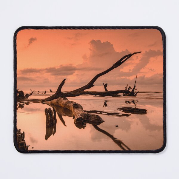 Item preview, Boneyard Morning designed and sold by DiFigianoPhoto.