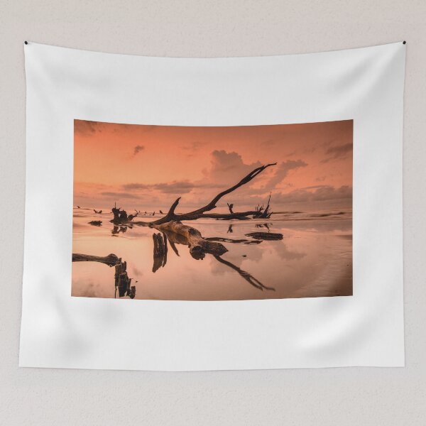 Item preview, Boneyard Morning designed and sold by DiFigianoPhoto.
