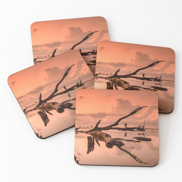 Item preview, Boneyard Morning designed and sold by DiFigianoPhoto.