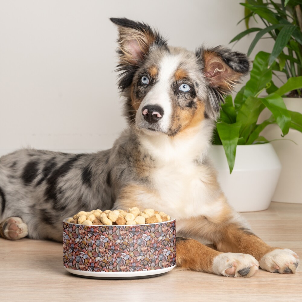 Item preview, Pet Bowl designed and sold by Maddie4Real.