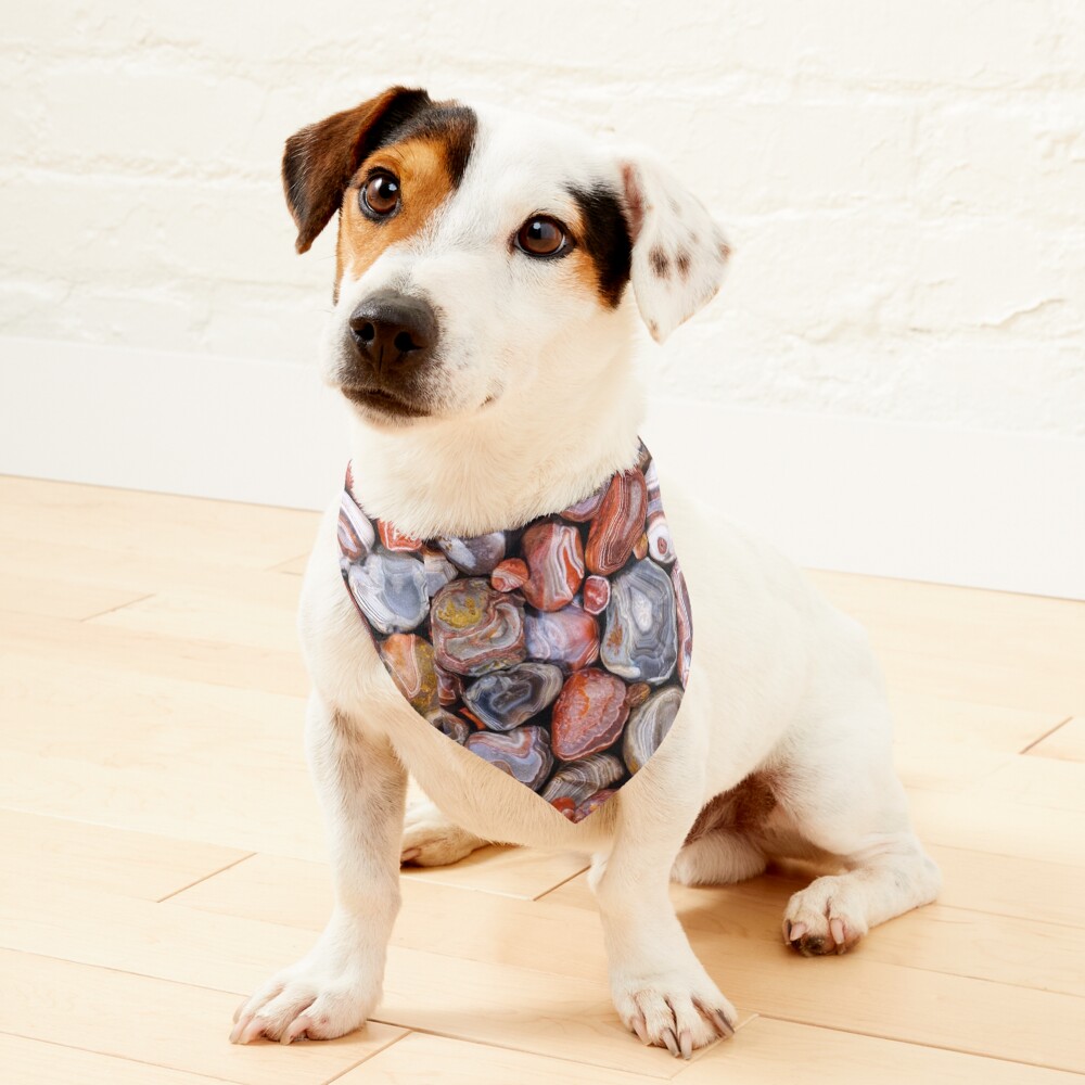 Item preview, Pet Bandana designed and sold by Maddie4Real.