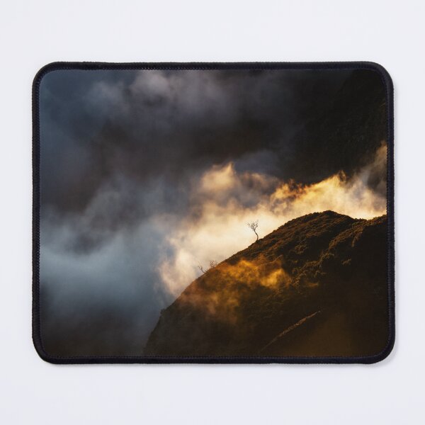 Item preview, Lone little tree up in the clouds surrounded by light, Pico do Arieiro, Madeira designed and sold by Victoria Ashman.