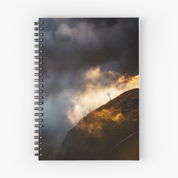Item preview, Lone little tree up in the clouds surrounded by light, Pico do Arieiro, Madeira designed and sold by Victoria Ashman.