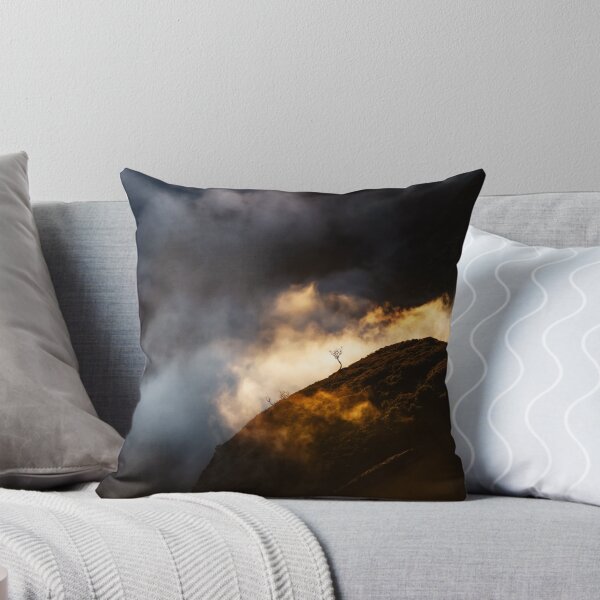 Item preview, Lone little tree up in the clouds surrounded by light, Pico do Arieiro, Madeira designed and sold by Victoria Ashman.
