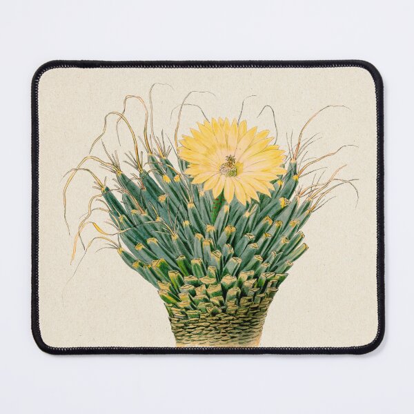 Item preview, Agave cactus vintage illustration from 1895 designed and sold by EmeraldeaArt.