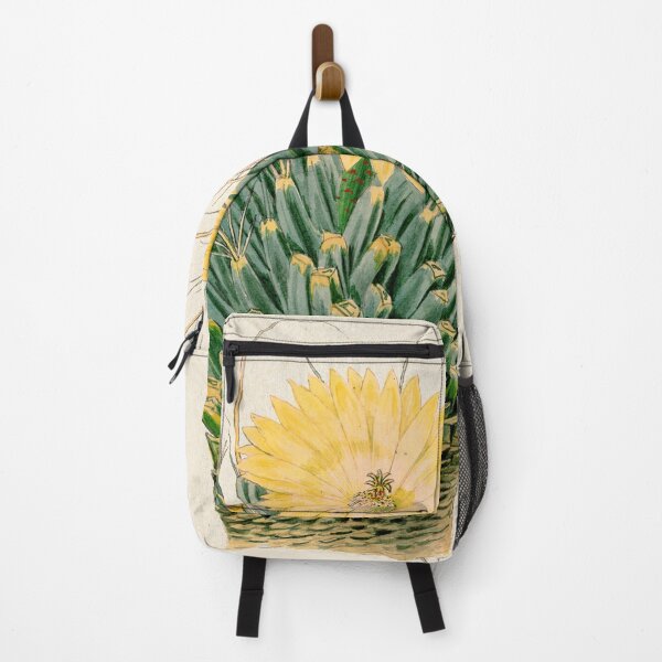 Item preview, Agave cactus vintage illustration from 1895 designed and sold by EmeraldeaArt.