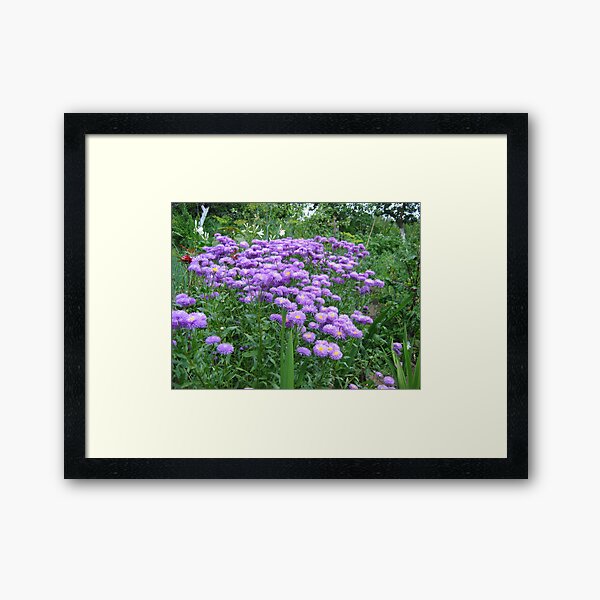 Flowers Framed Art Print
