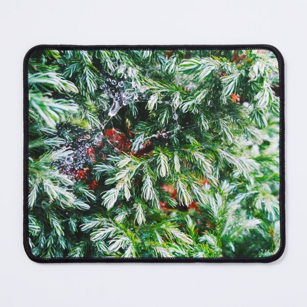 Item preview, Fir tree covered with drops of rain designed and sold by helenkaiy.