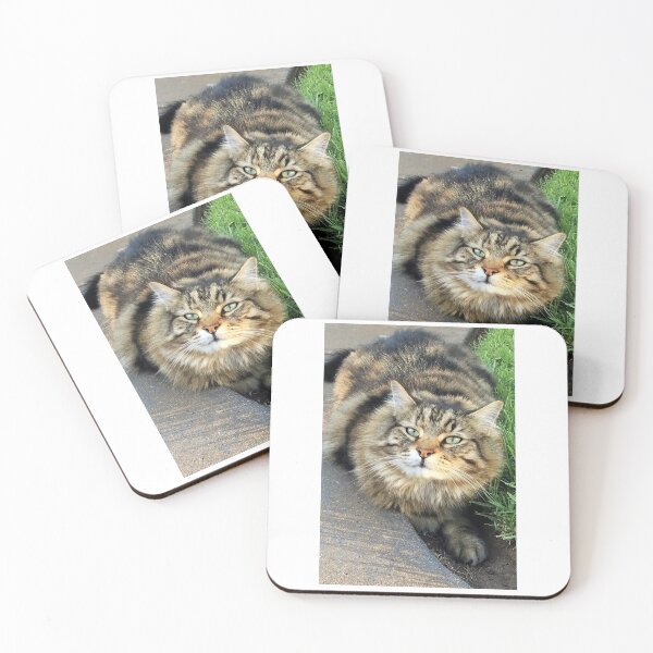 Item preview, Cat / Iring / Pusa designed and sold by PabloBSanchez.