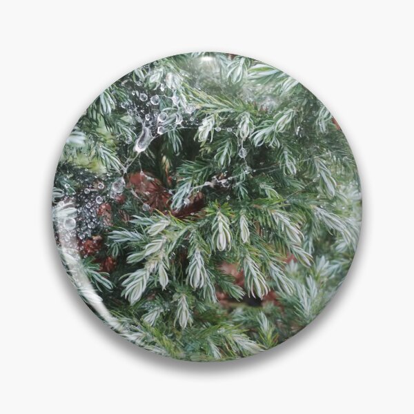 Item preview, Fir tree covered with drops of rain designed and sold by helenkaiy.
