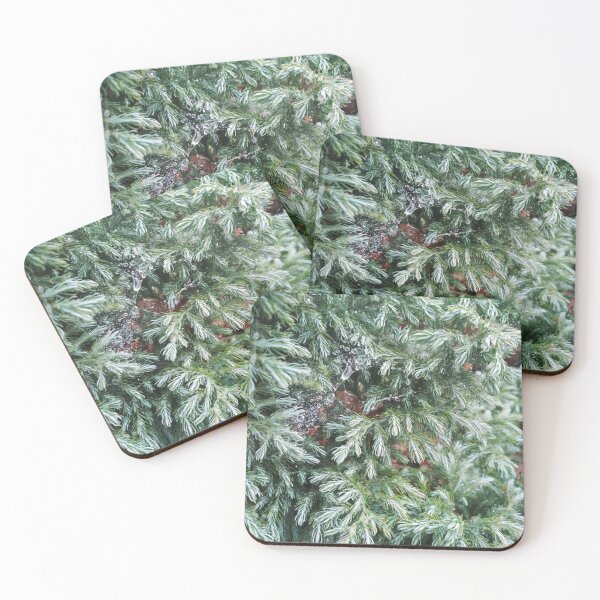 Item preview, Fir tree covered with drops of rain designed and sold by helenkaiy.