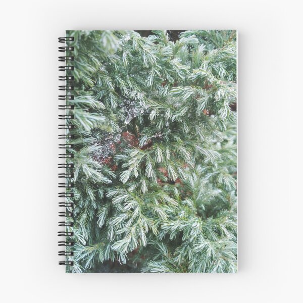 Item preview, Fir tree covered with drops of rain designed and sold by helenkaiy.