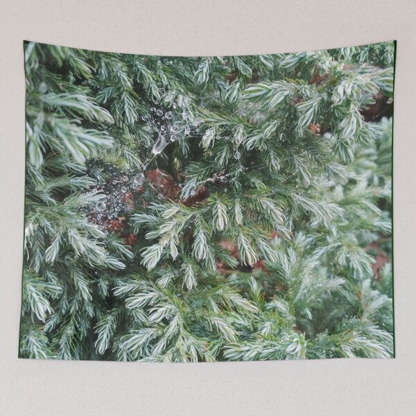 Item preview, Fir tree covered with drops of rain designed and sold by helenkaiy.