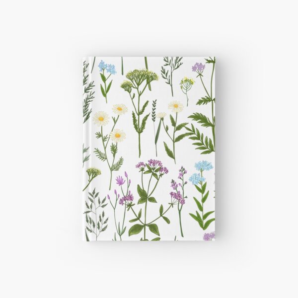 Aperçu de l'œuvre Ligne de couleur peinte d'herbes sauvages et de fleurs. Dessin vectoriel. Herbes sauvages. Fleur sauvage créée et vendue par IrinaVaneeva.