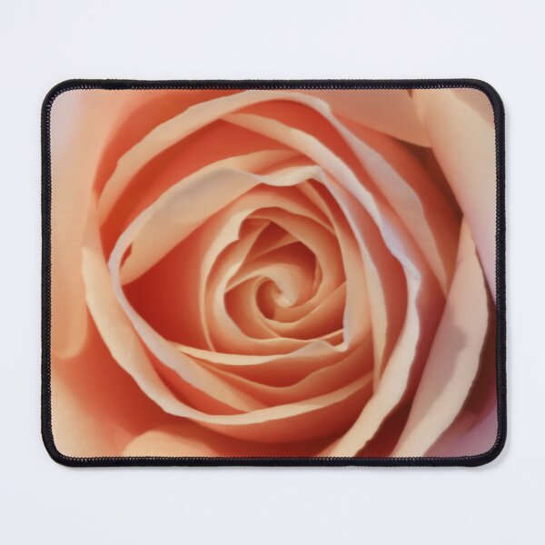Item preview, Beautiful Pink Rose. designed and sold by prestongeorge.