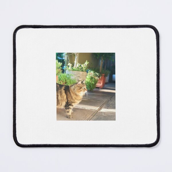 Item preview, Cat / Iring / Pusa designed and sold by PabloBSanchez.