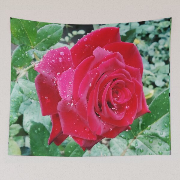 Item preview, Beautiful red rose after the rain  designed and sold by helenkaiy.
