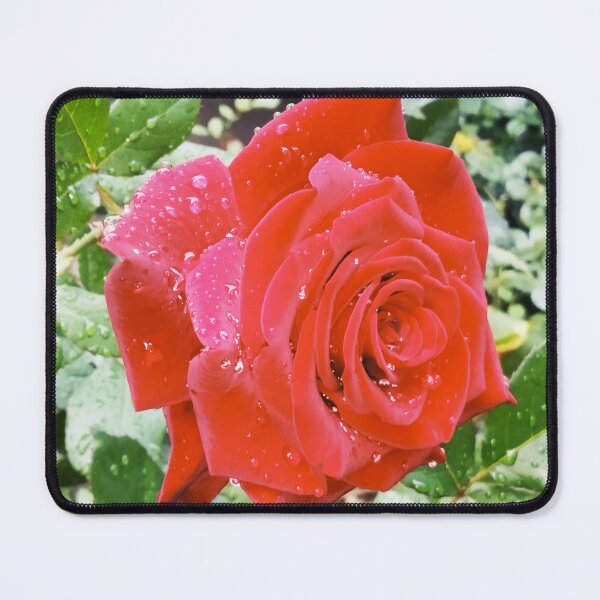 Item preview, Beautiful red rose after the rain  designed and sold by helenkaiy.