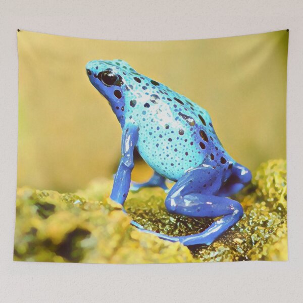Item preview, Blue Frog designed and sold by Inyeneart.