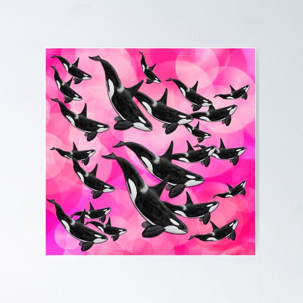 Orcagruppe - Pod of Orcas pink Poster