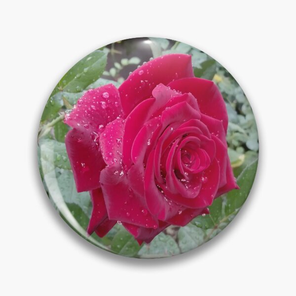 Item preview, Beautiful red rose after the rain  designed and sold by helenkaiy.