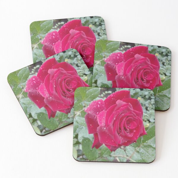 Item preview, Beautiful red rose after the rain  designed and sold by helenkaiy.