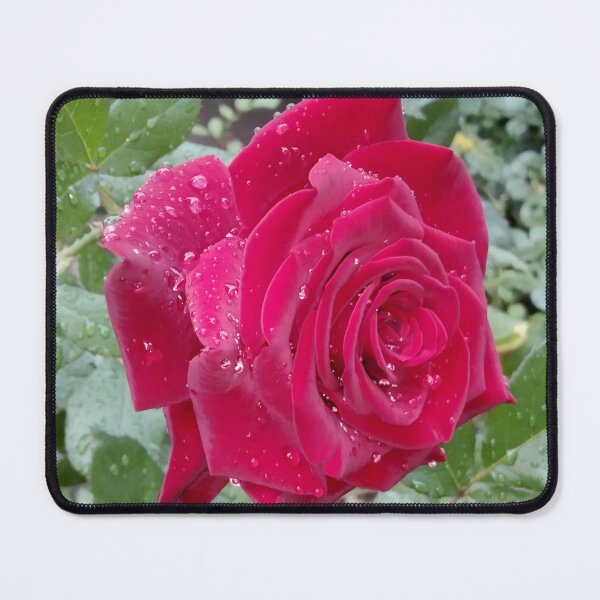 Item preview, Beautiful red rose after the rain  designed and sold by helenkaiy.