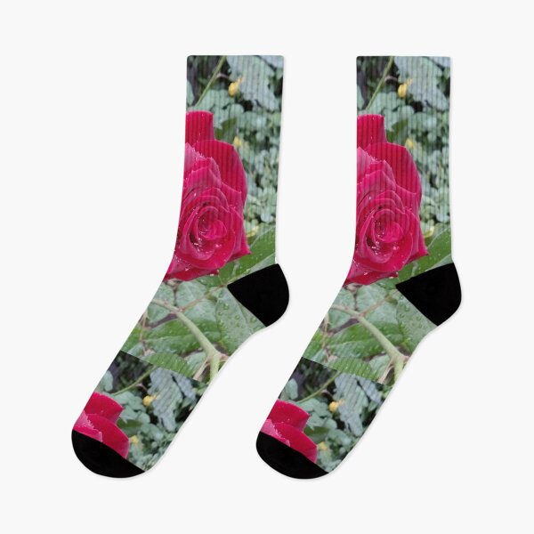 Item preview, Beautiful red rose after the rain  designed and sold by helenkaiy.