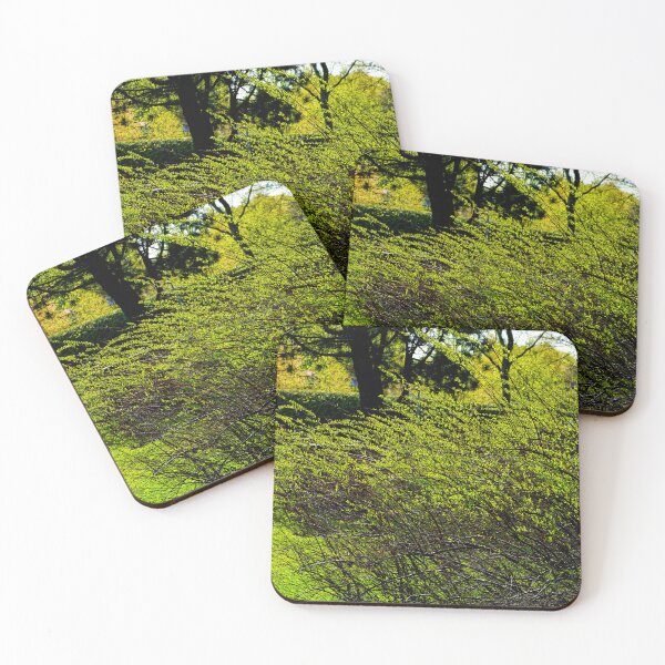 Item preview, Bush designed and sold by boogeyman.