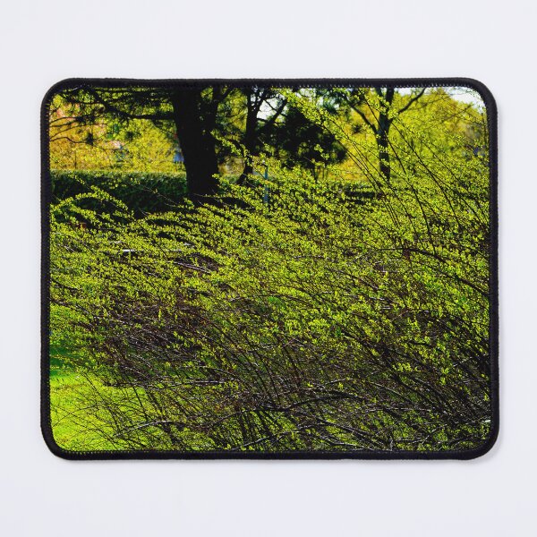 Item preview, Bush designed and sold by boogeyman.