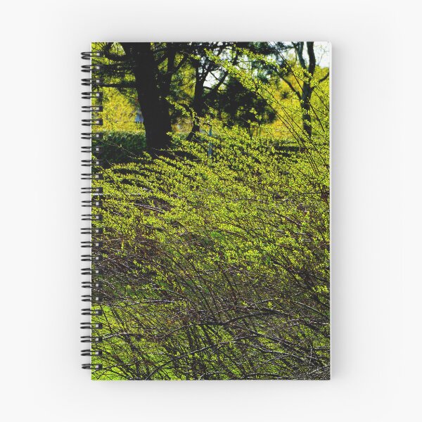 Item preview, Bush designed and sold by boogeyman.