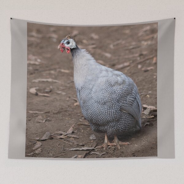 Item preview, Guinea Fowl designed and sold by imaginethis.