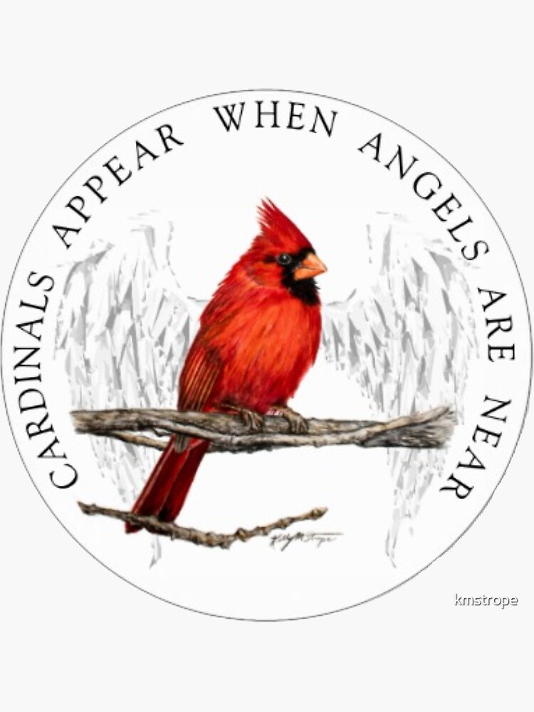 Cardinals Appear When Angels Are Near SVG - Clipart Red Cardinal Memorial  Remembrance Christmas Holiday Bird Svg
