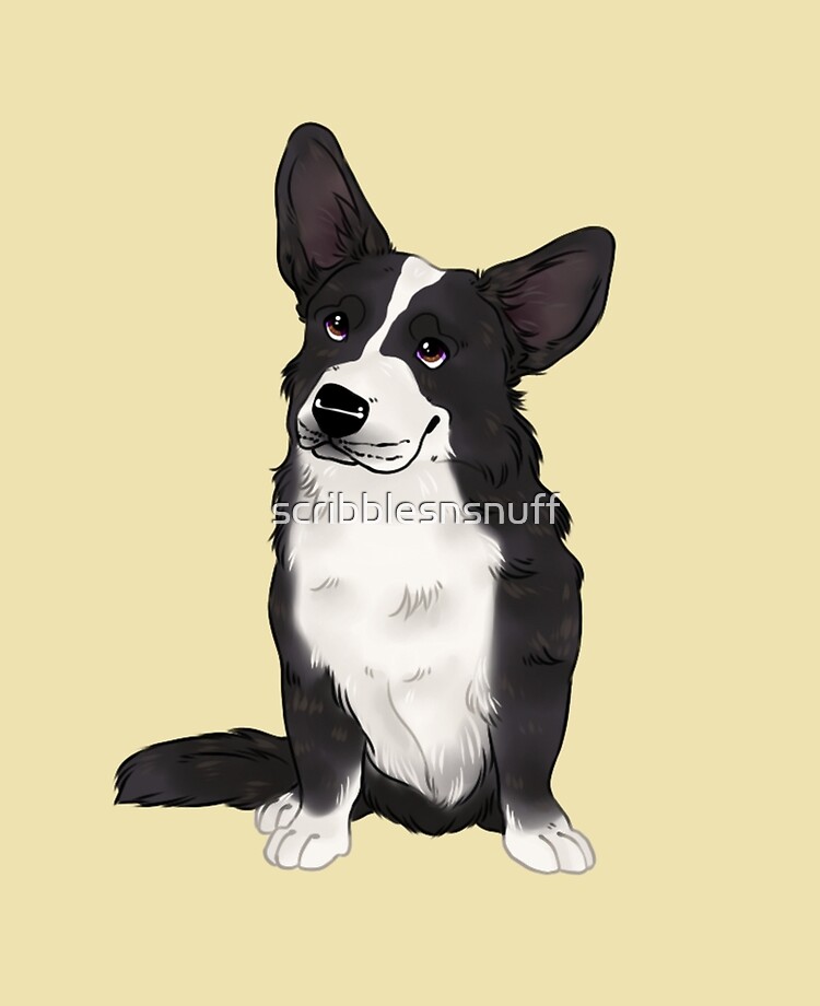cardigan corgi brindle