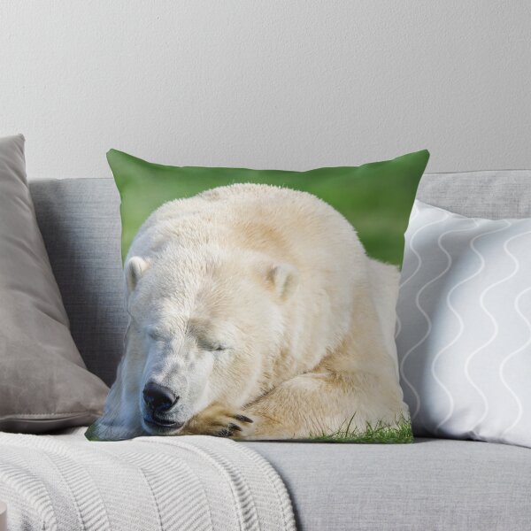 Item preview, Sleeping Polar Bear designed and sold by LFPPhotography.