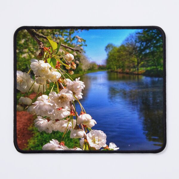Item preview, Blossom along the way designed and sold by Matthew Mason.